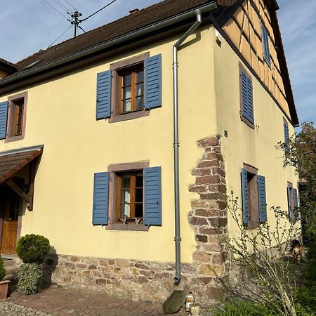 Gite La Maison De Jules Muntzenheim المظهر الخارجي الصورة