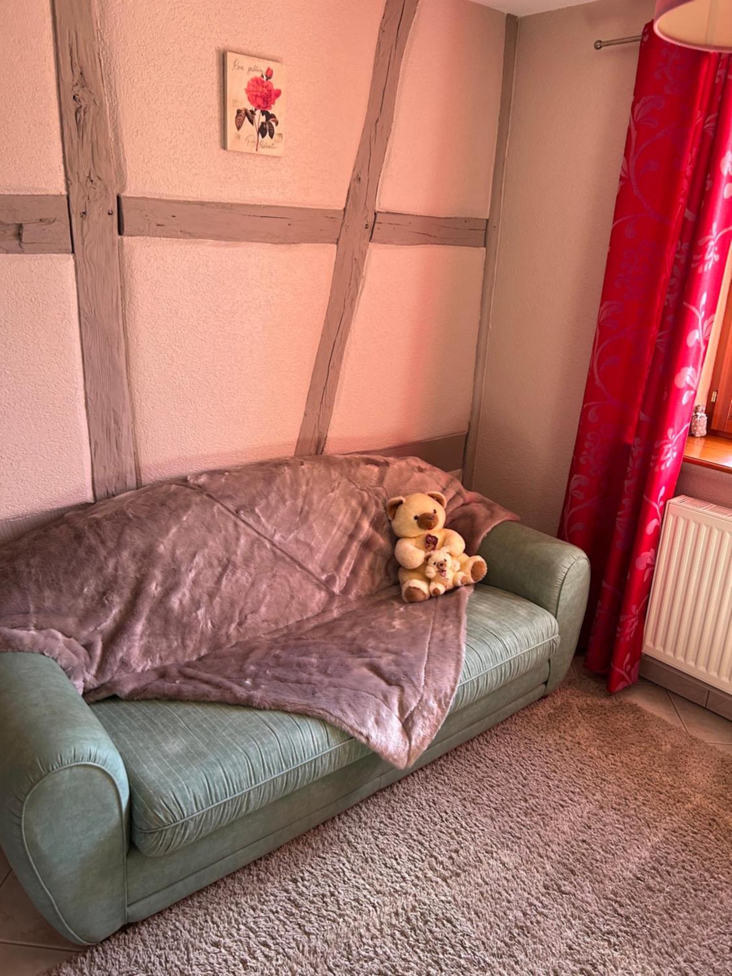 Gite La Maison De Jules Muntzenheim المظهر الخارجي الصورة